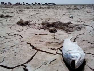 آمارهای تکان دهنده بحران آب