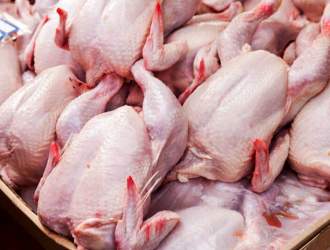 کاهش قیمت مرغ در بازار همچنان ادامه دارد